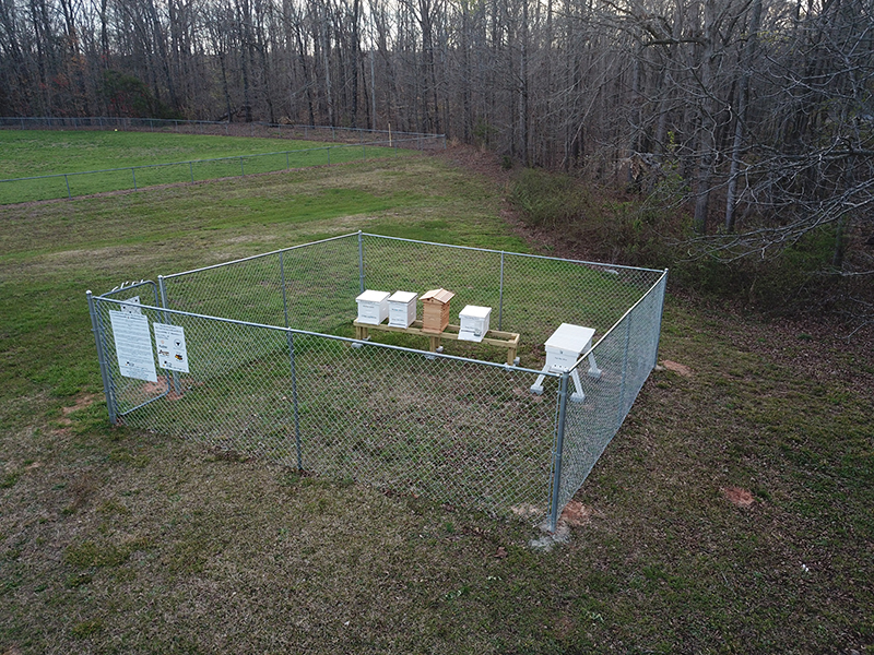 Visit our bee yard and learn the benefits of bees!